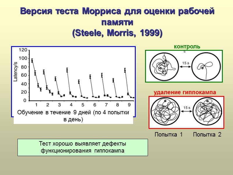 Версия теста Морриса для оценки рабочей памяти  (Steele, Morris, 1999) Обучение в течение